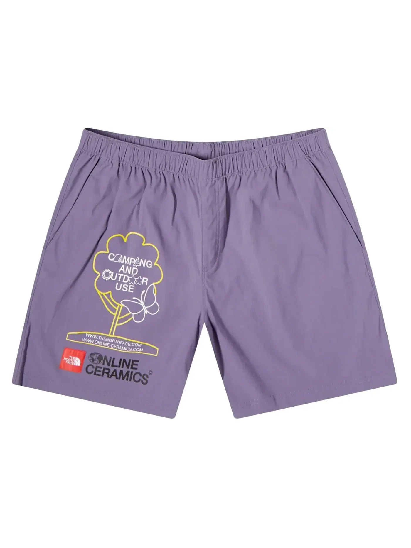 Мужские шорты с принтом The North Face, Lunar Slate — изображение 1 из 2