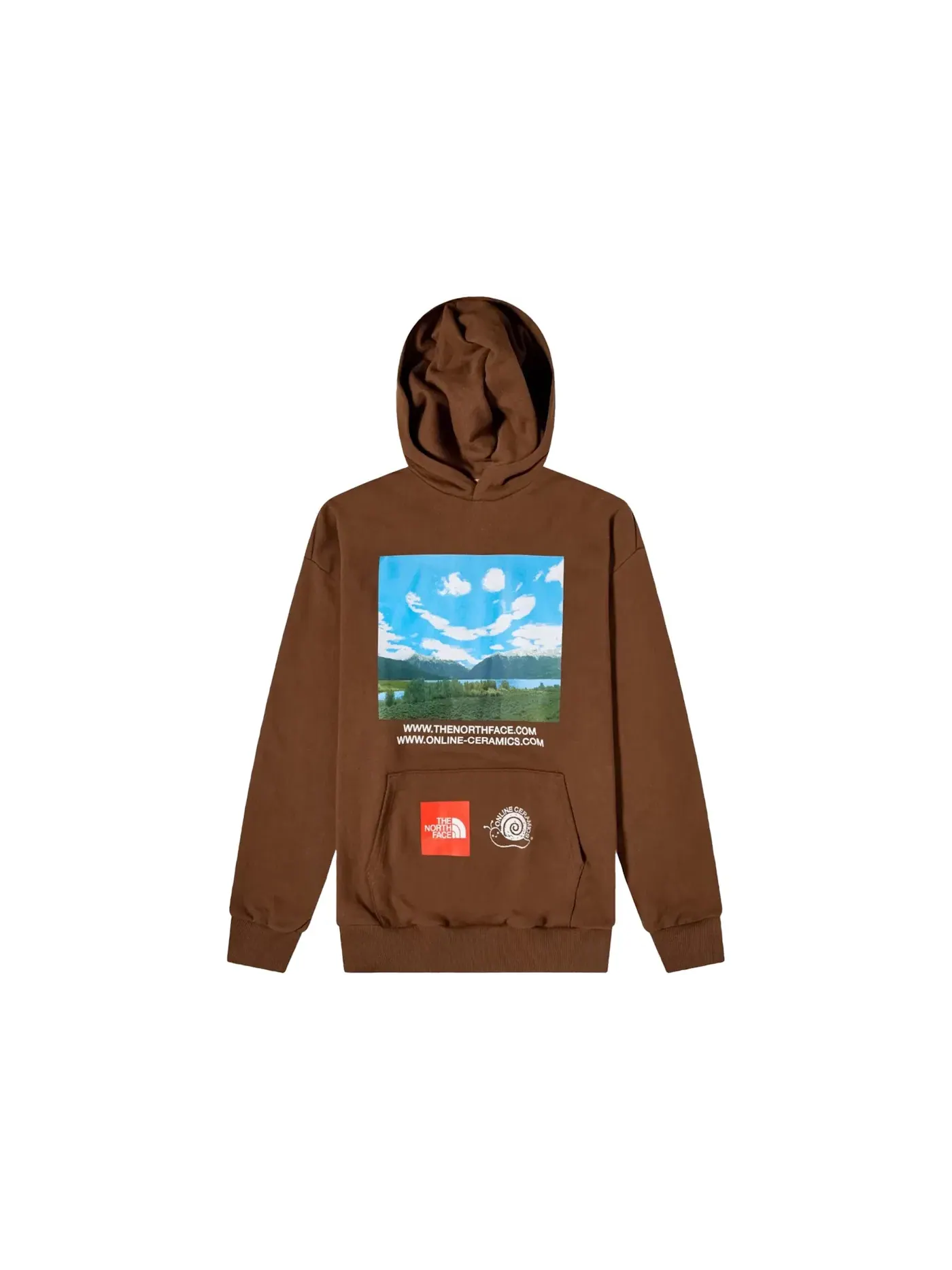 Мужской пуловер-худи с капюшоном The North Face — изображение 1 из 3, коричневый