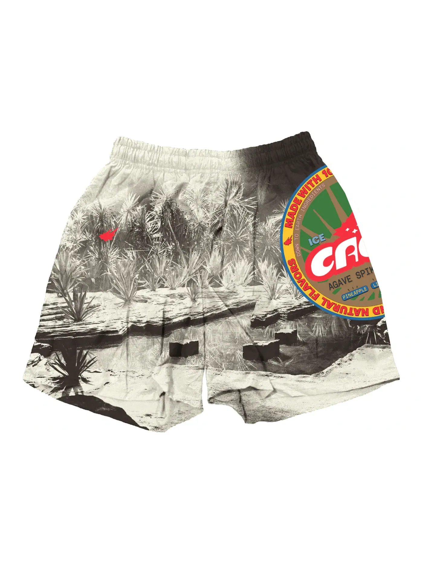 Мужские шорты с принтом Travis Scott Shorts — изображение 1 из 2, мульти