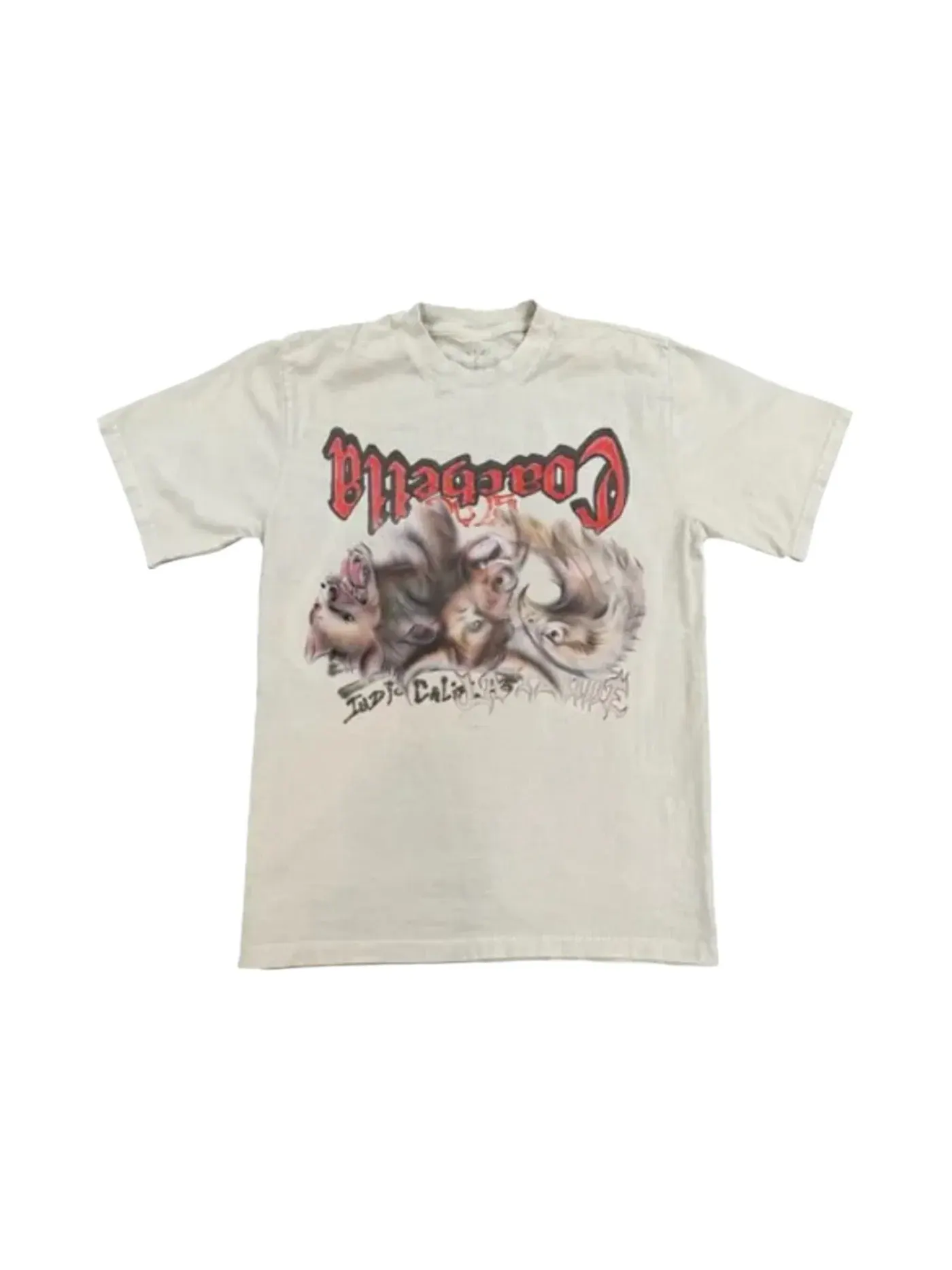 Мужская футболка с принтом Echoes in the Dust Tee Travis Scott — изображение 1 из 1, белый