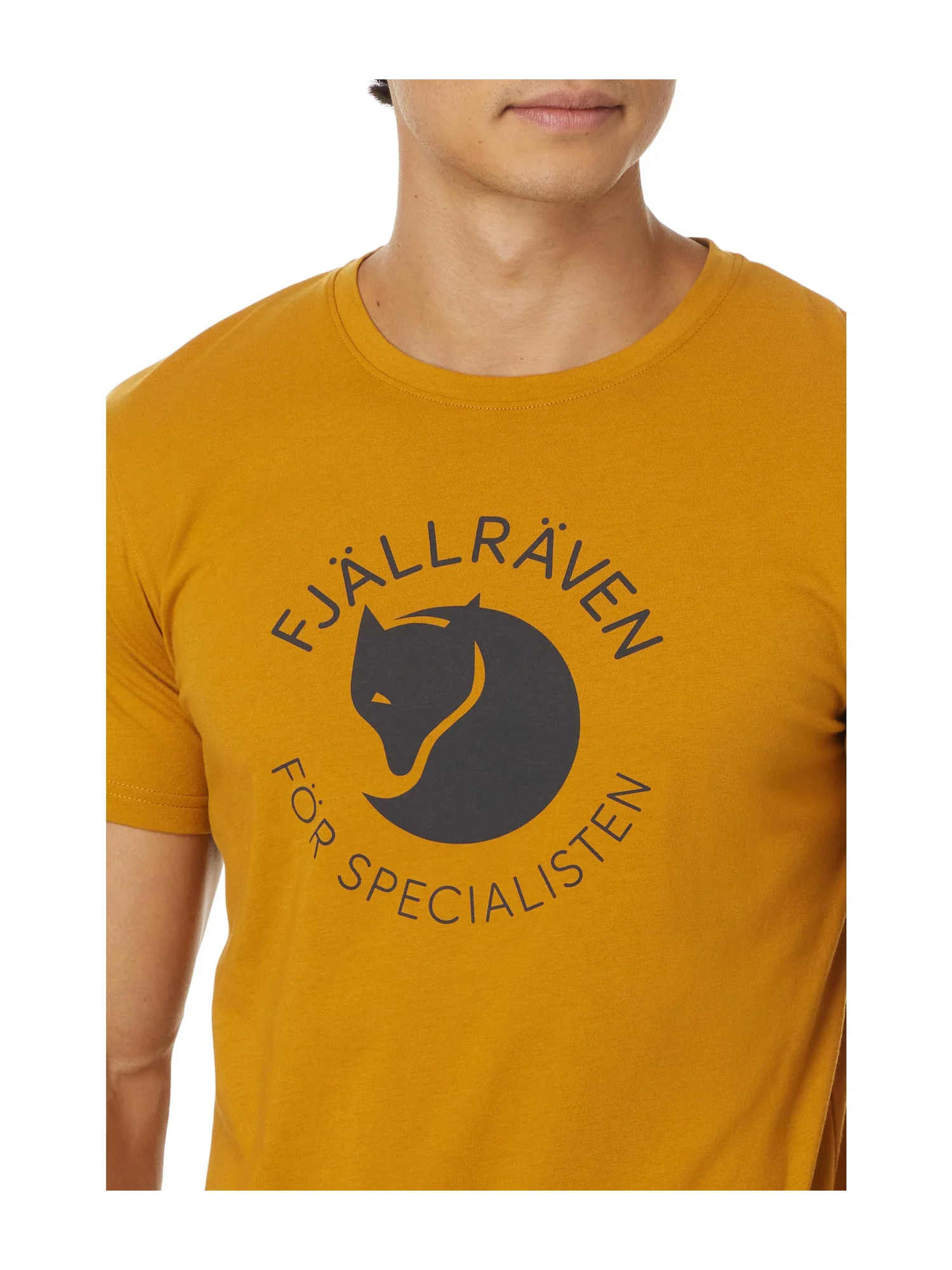 Футболка Fjällräven Fox T-Shirt — изображение 3 из 4, ореховый