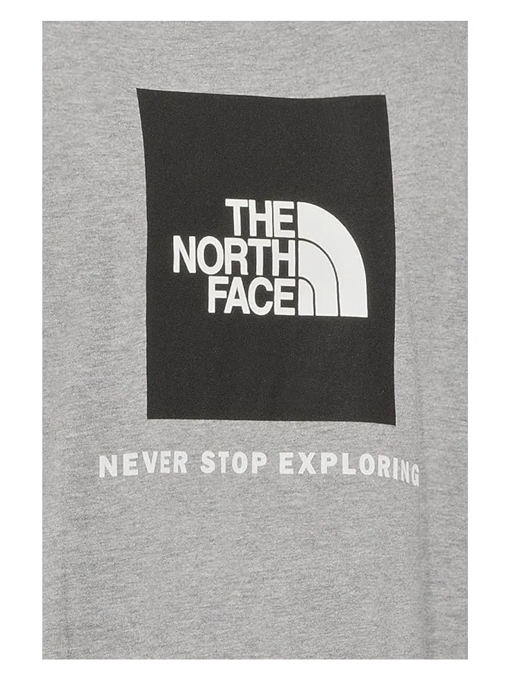 Мужская футболка с длинным рукавом The North Face Evolution Box Nse Regular — изображение 4 из 5, бледный серый