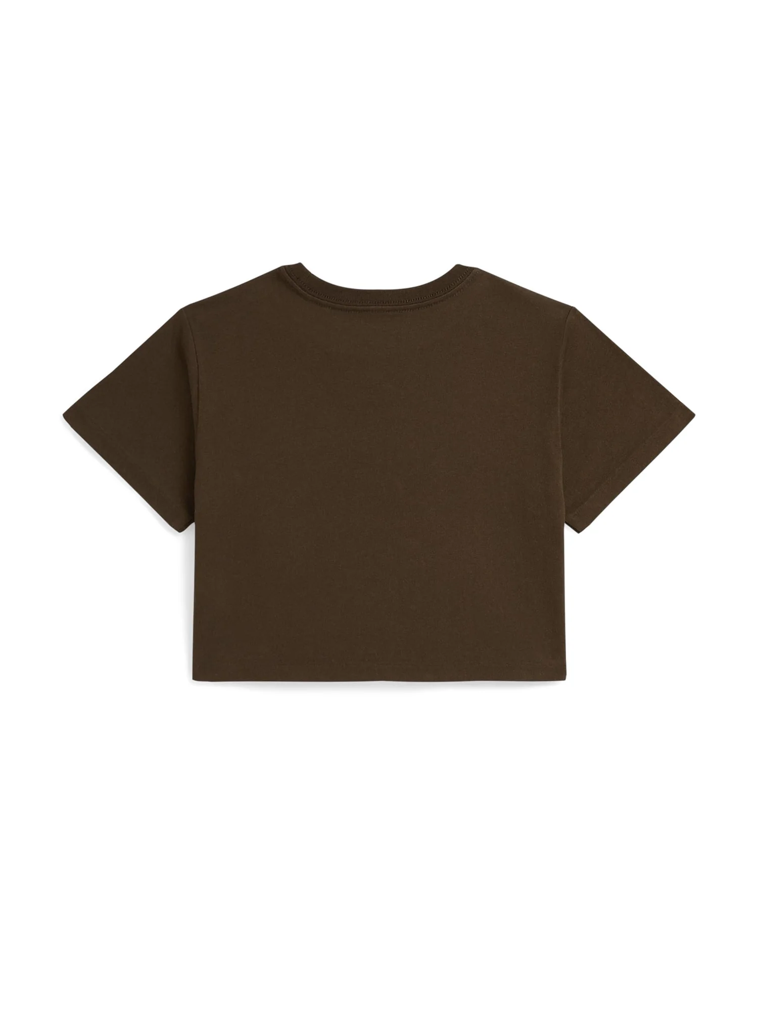 Футболка Polo Ralph Lauren Kids Logo Crest Cotton Jersey Boxy Tee — изображение 2 из 2, коричневый