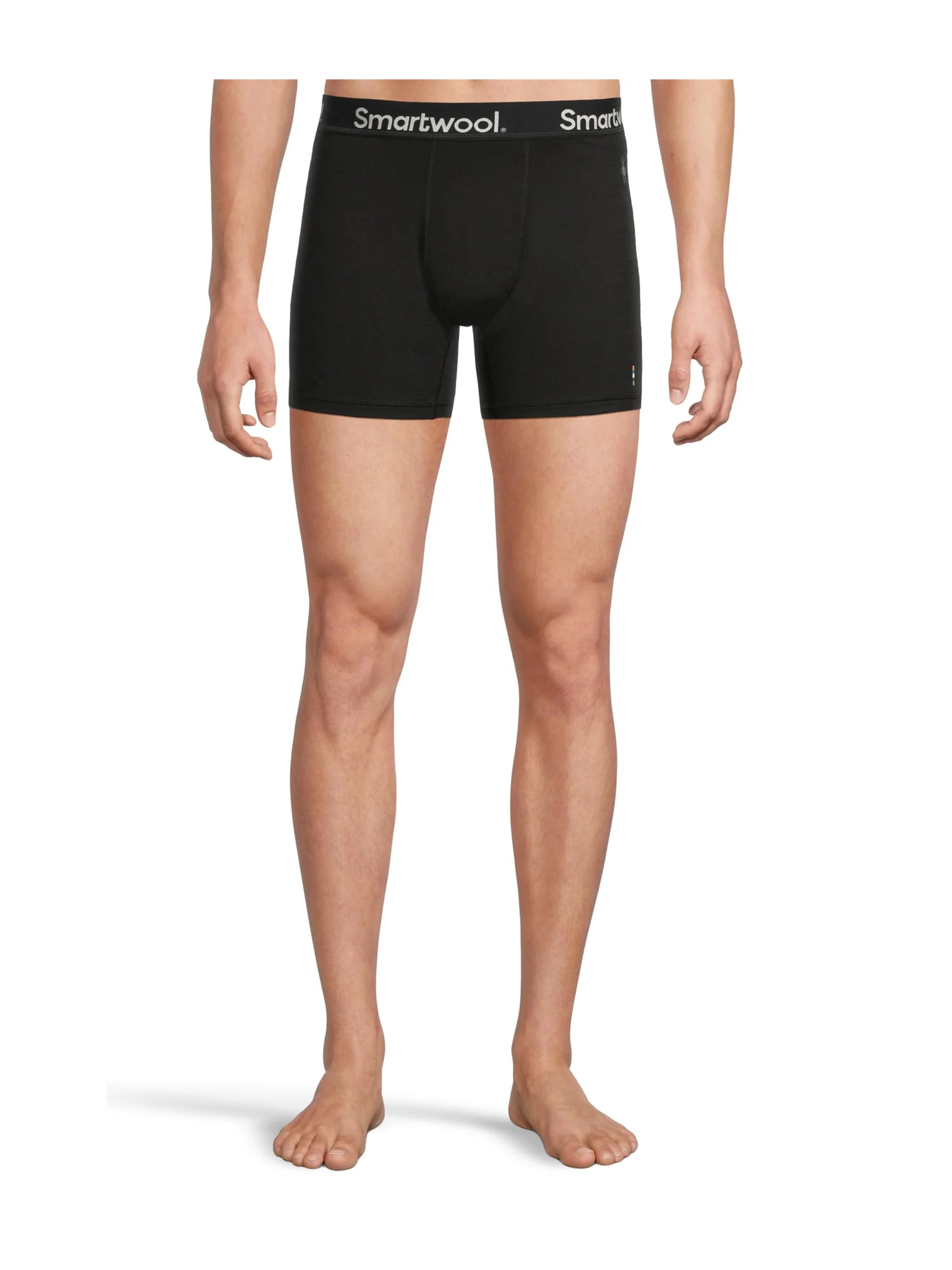 Трусы-боксеры Smartwool Boxer Brief — изображение 1 из 4, черный