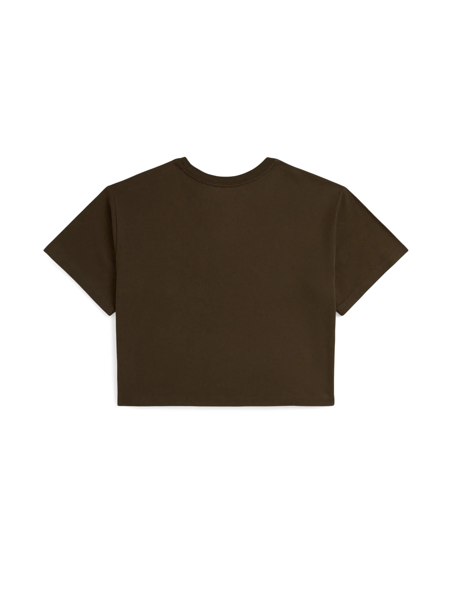 Футболка Polo Ralph Lauren Kids Logo Crest Cotton Jersey Boxy Tee — изображение 2 из 2, коричневый