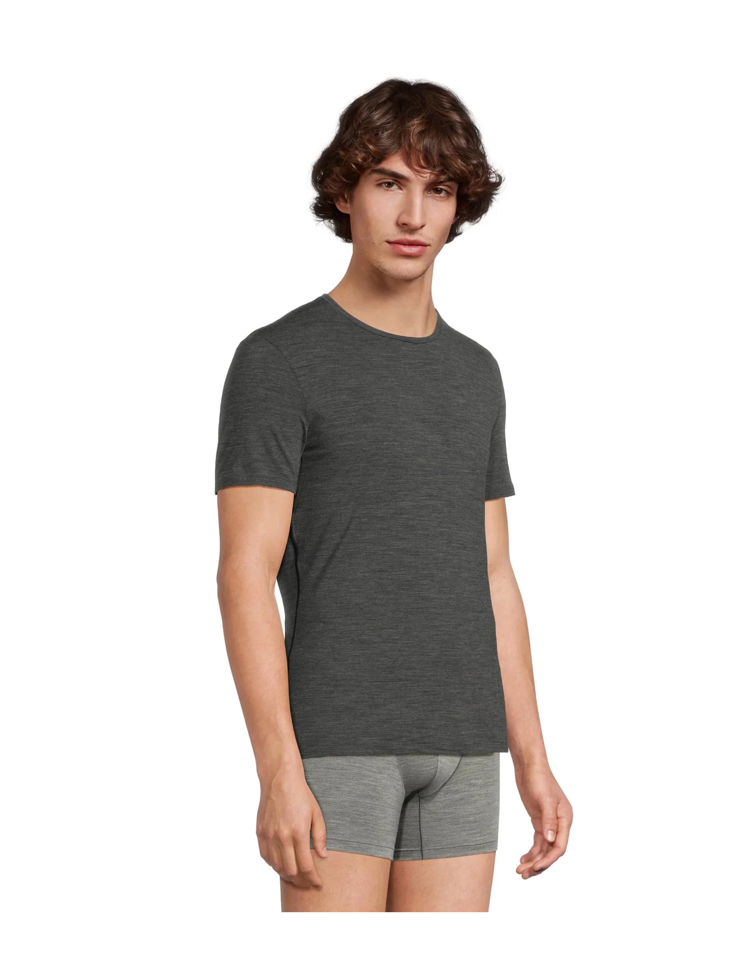 Футболка Icebreaker Merino 150 Anatomica Short Sleeve Crewe — изображение 2 из 3, серый меланж