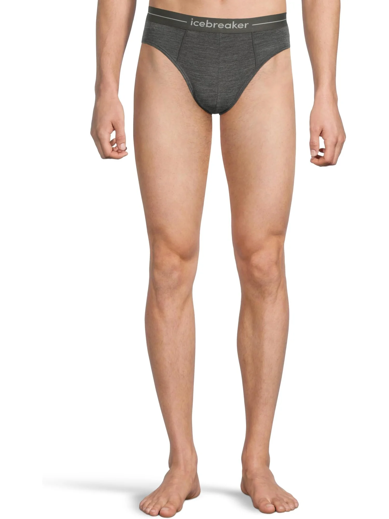 Трусы Icebreaker Merino 150 Anatomica Briefs — изображение 1 из 3, серый меланж