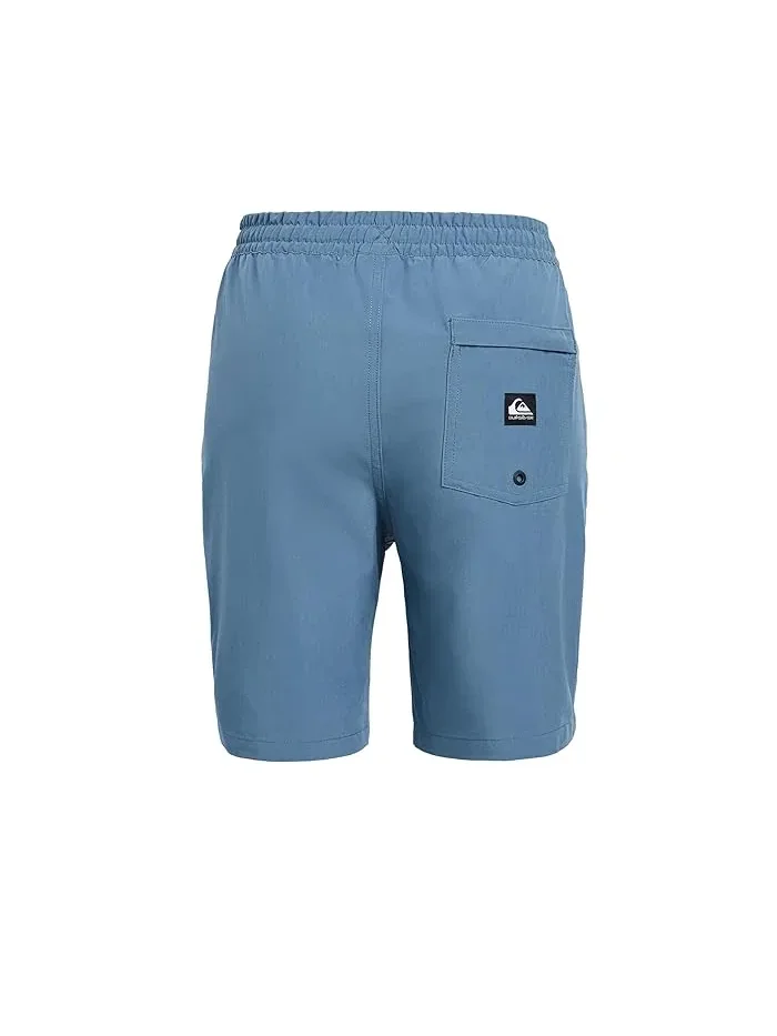 Шорты спортивные Taxer Amphibian Quiksilver Kids — изображение 2 из 3, серо-голубой