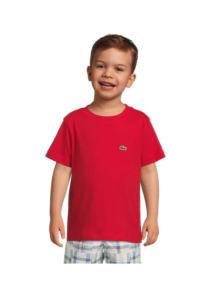 Футболка Core Tee Lacoste Kids, Rogue — изображение 1 из 4, серый