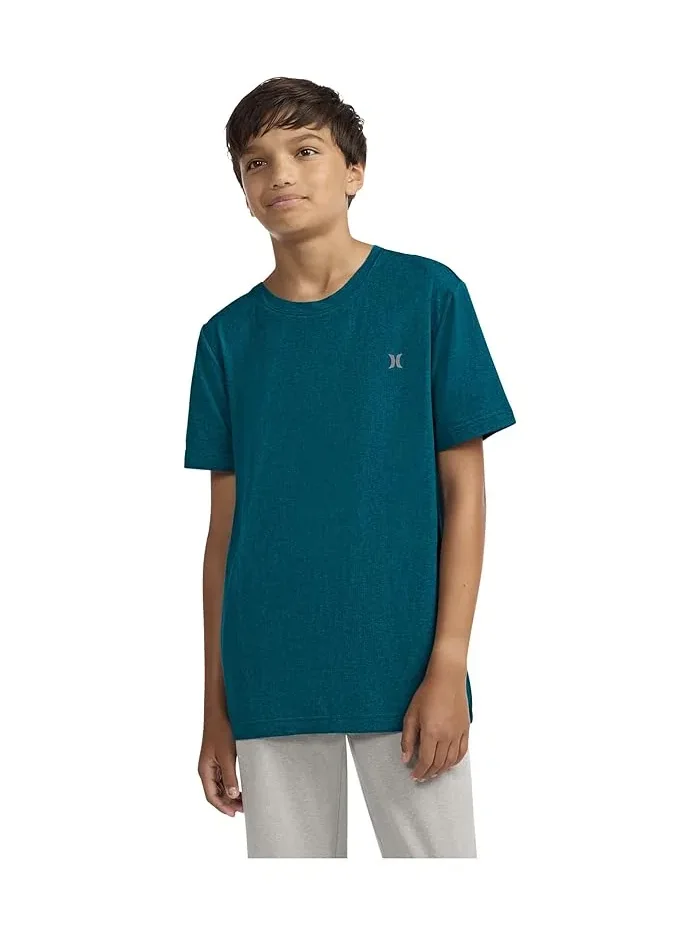 Футболка с влагоотводящей технологией H20-Dri Sunset Knit Tee Hurley Kids