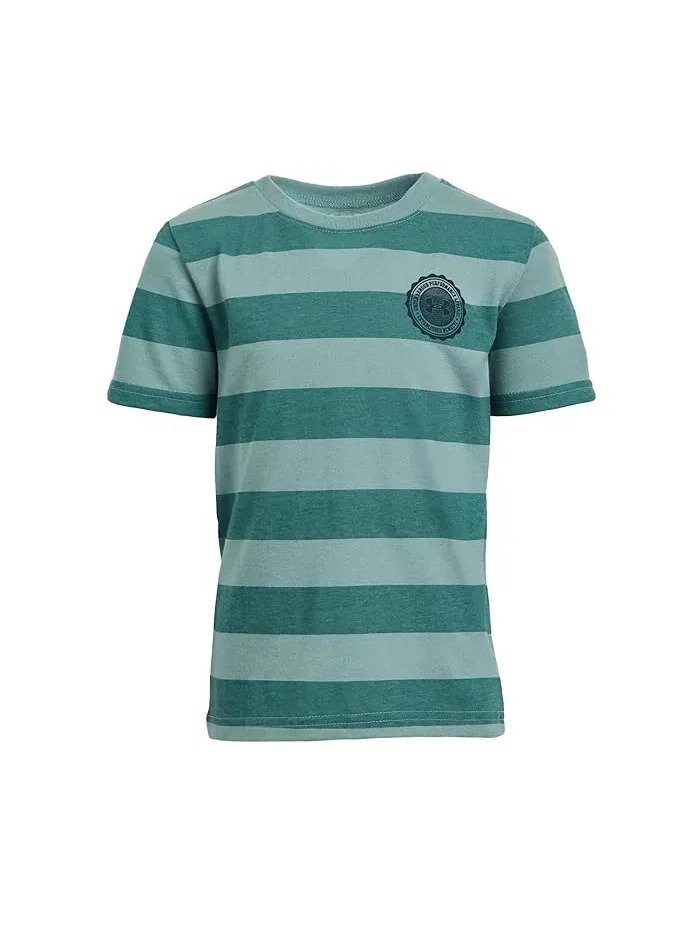 Футболка с полосками Printed Stripe Short Sleeve Under Armour Kids
