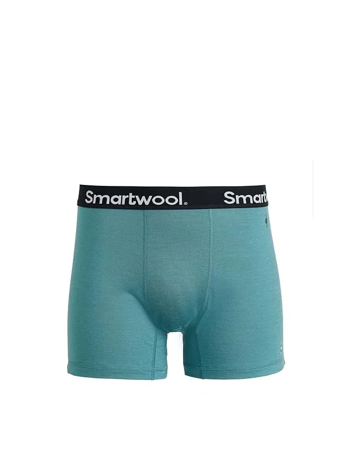Боксеры Active Boxer Brief Boxed Smartwool — изображение 1 из 3, голубой