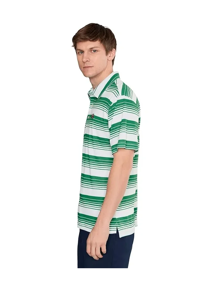 Поло Chubbies The Hole In One Hue — изображение 3 из 5, темно-зеленый в полоску