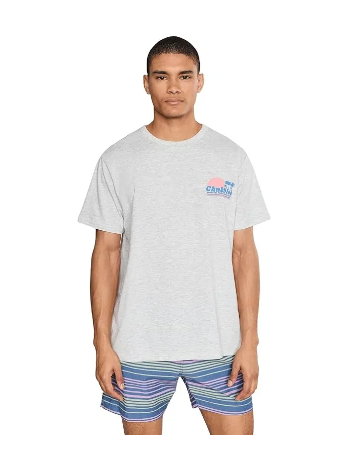 Футболка с принтом The Ol' College Try Chubbies — изображение 1 из 5, светлый серый