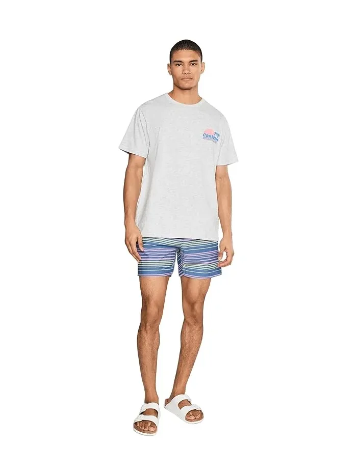Футболка с принтом The Ol' College Try Chubbies — изображение 2 из 5, светлый серый