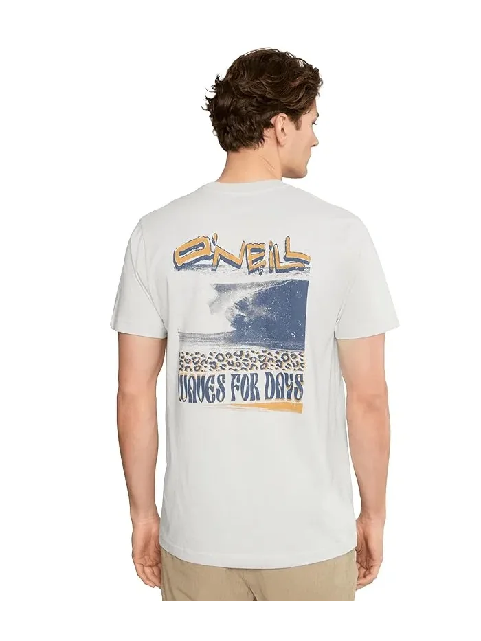 Футболка O'Neill Bomb It Short Sleeve Classic Tee — изображение 4 из 5, пепельный