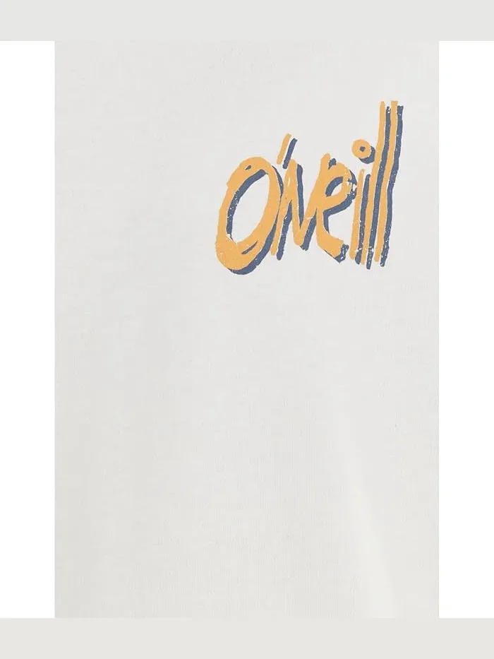 Футболка O'Neill Bomb It Short Sleeve Classic Tee — изображение 5 из 5, пепельный