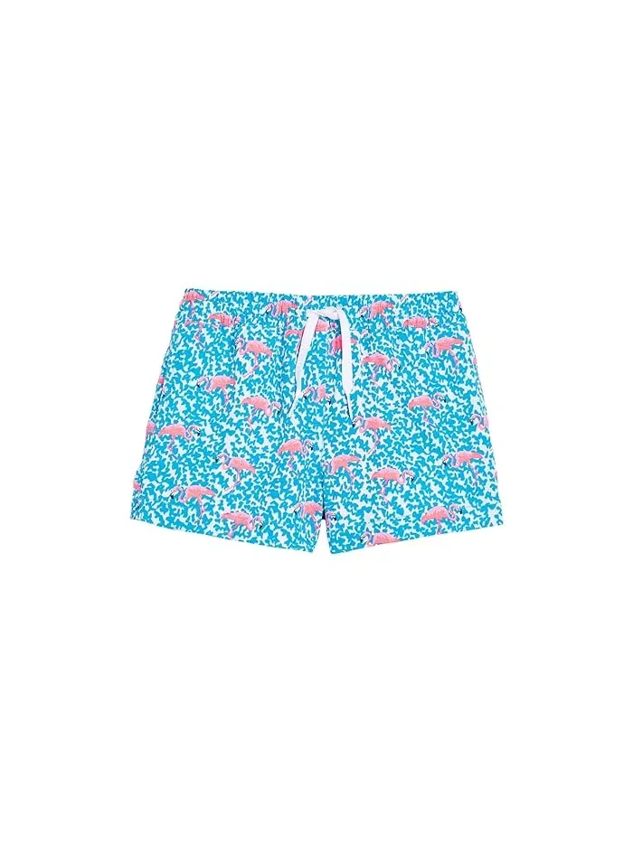 Плавки для мальчиков The Domingos Are For Flamingos с фламинго Chubbies Kids — прозрачный