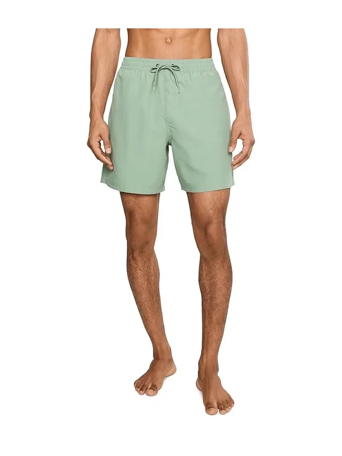 Плавки Everyday Solid Volley 17 Quiksilver — изображение 1 из 5, кувшинка