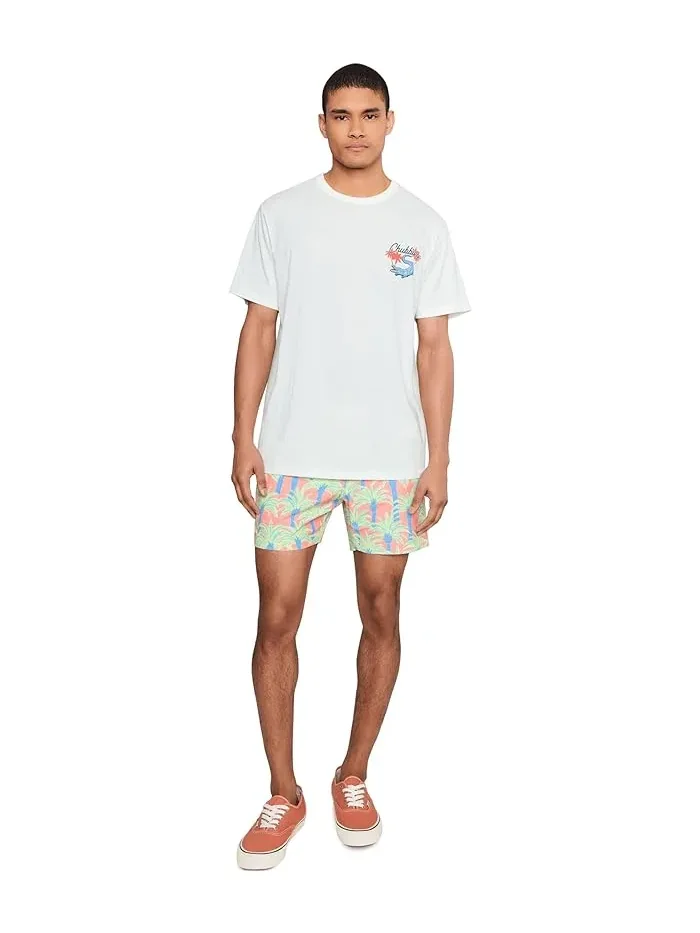Плавки The Easy Breezys 5.5" Chubbies — изображение 2 из 5, мульти