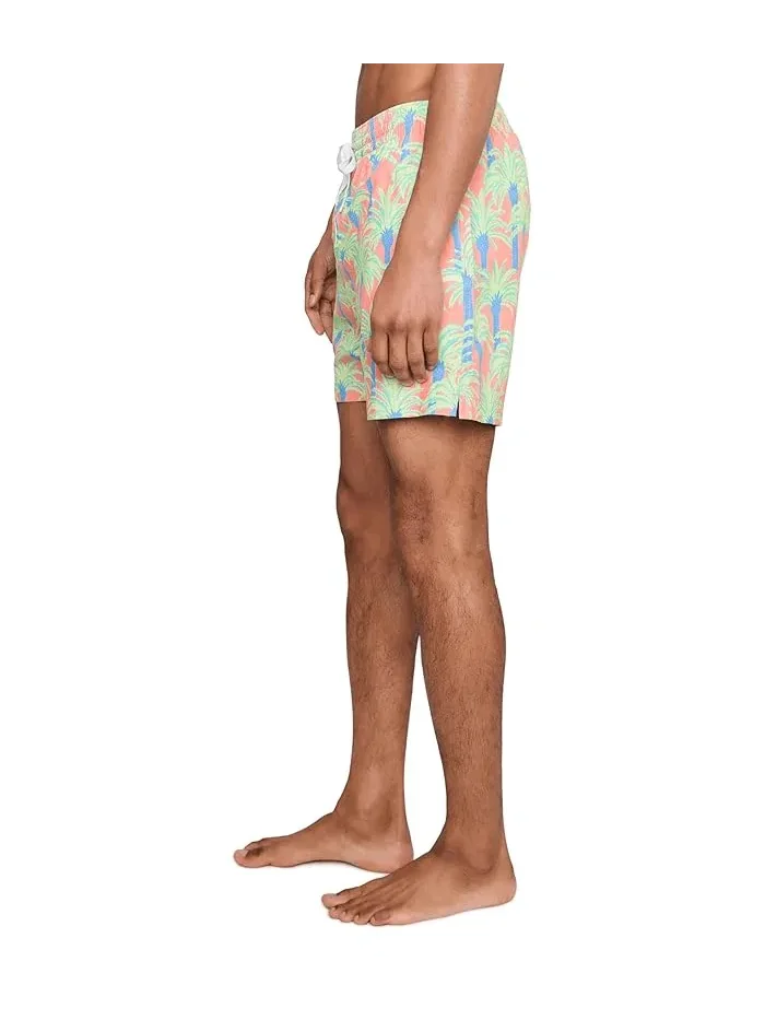 Плавки The Easy Breezys 5.5" Chubbies — изображение 3 из 5, мульти