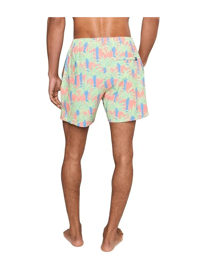 Плавки The Easy Breezys 5.5" Chubbies — изображение 4 из 5, мульти