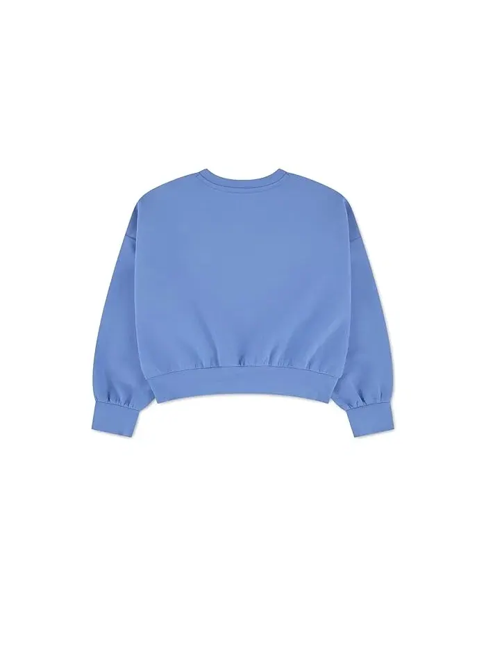 Свитшот с круглым вырезом All Day Crew Neck Hurley Kids — изображение 2 из 3, прованс