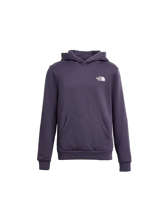 Худи The North Face Kids Evolution Simple Dome — серый