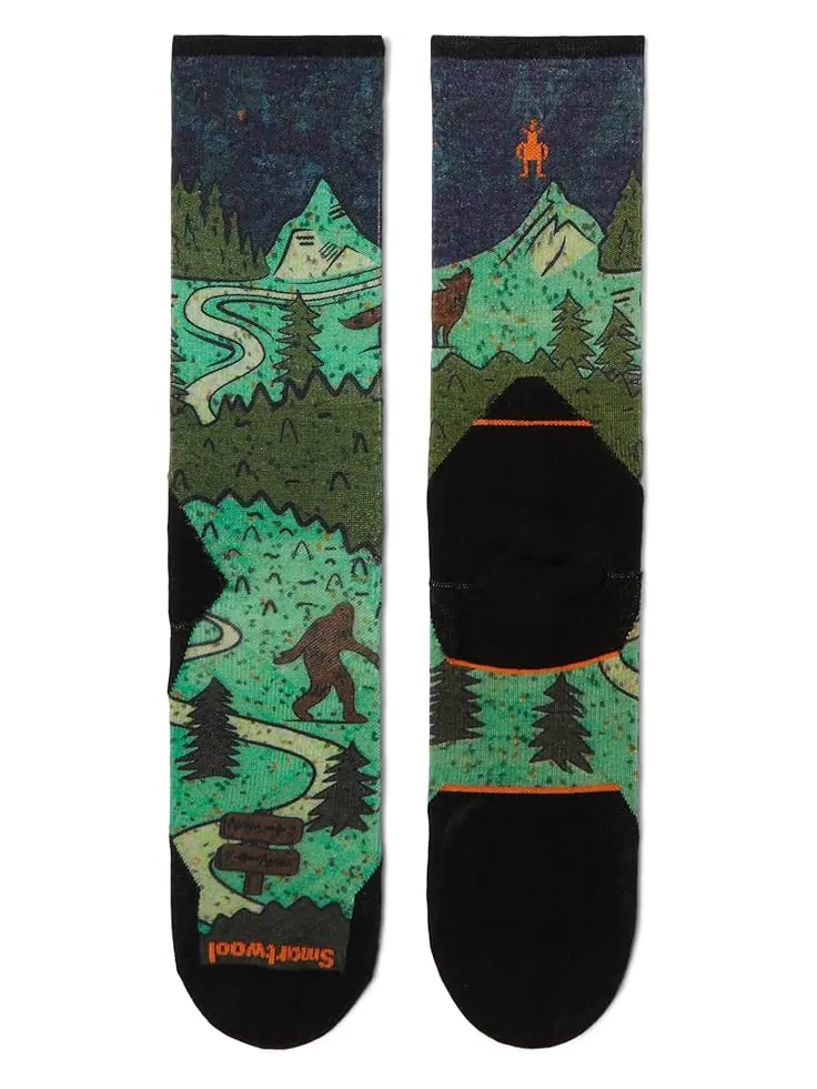Носки Smartwool Trail Run Targeted Cushion Neature Print Crew Socks — изображение 2 из 2, синий