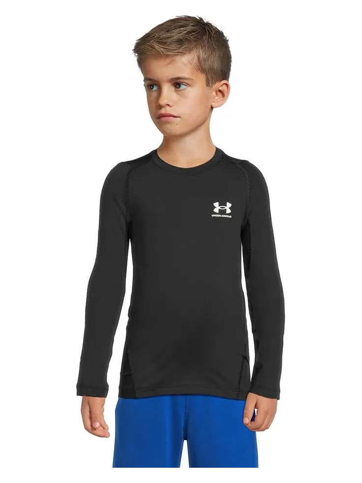 Лонгслив Under Armour Kids HeatGear Armour Long — изображение 1 из 4, черный/серый