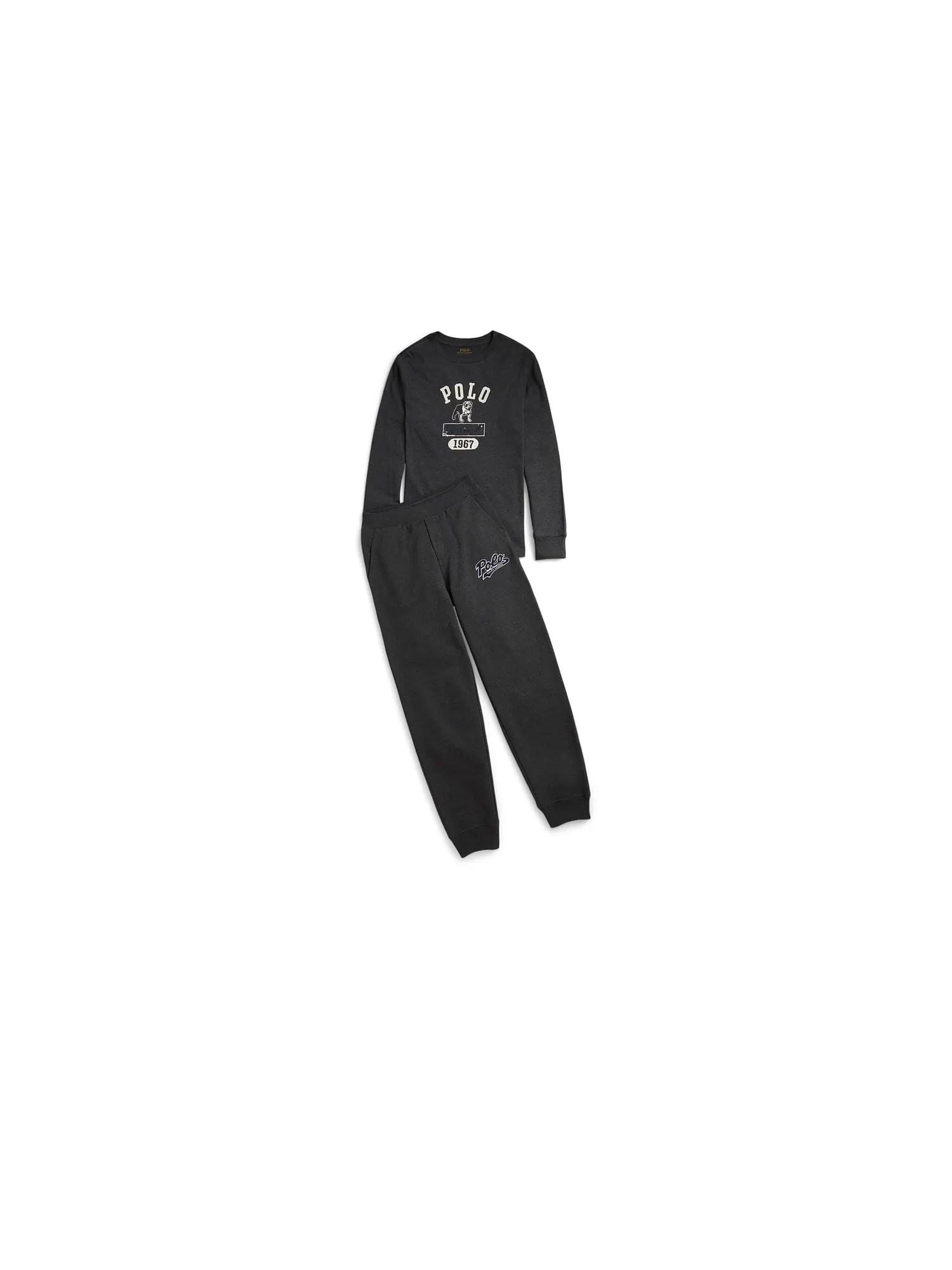 Футболка Polo Ralph Lauren Kids Cotton Jersey Graphic Long Sleeve Tee — изображение 1 из 2, фиолетовый