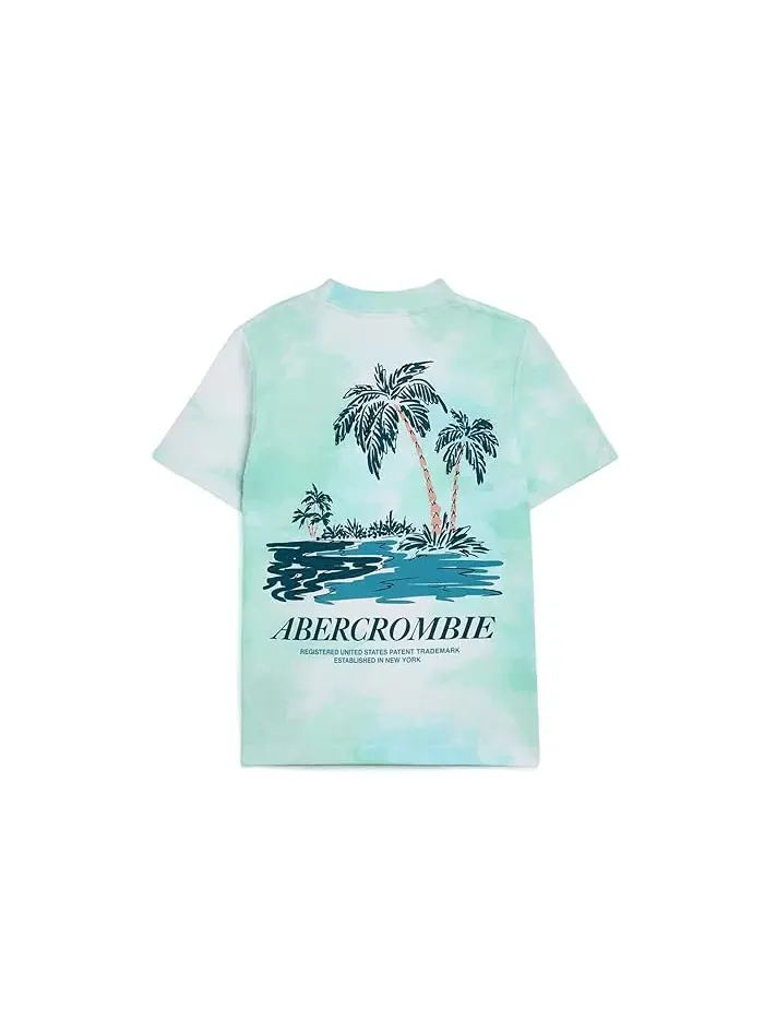 Футболка с пальмами Palm Springs Tee abercrombie kids — изображение 2 из 3, серый