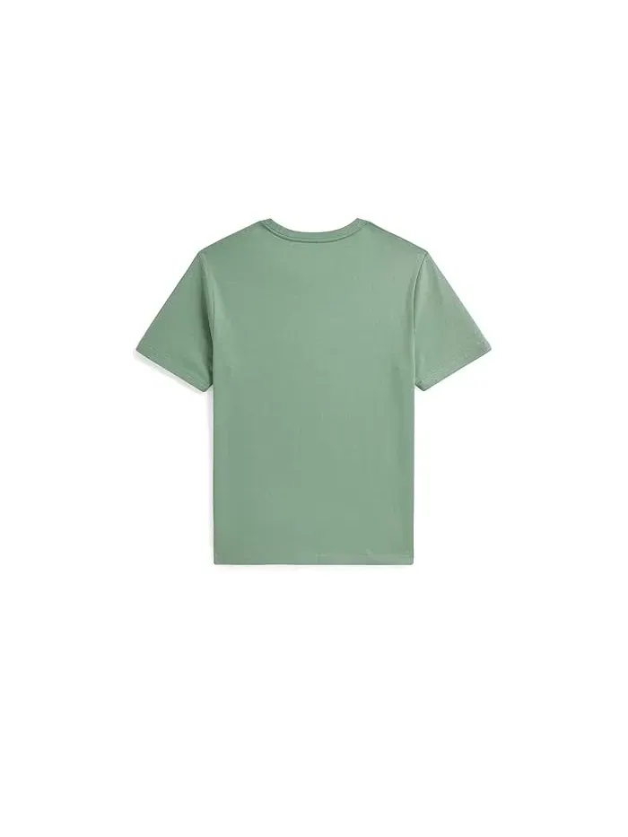 Футболка Logo Cotton Jersey Graphic Tee Polo Ralph Lauren Kids — изображение 2 из 2, мятный