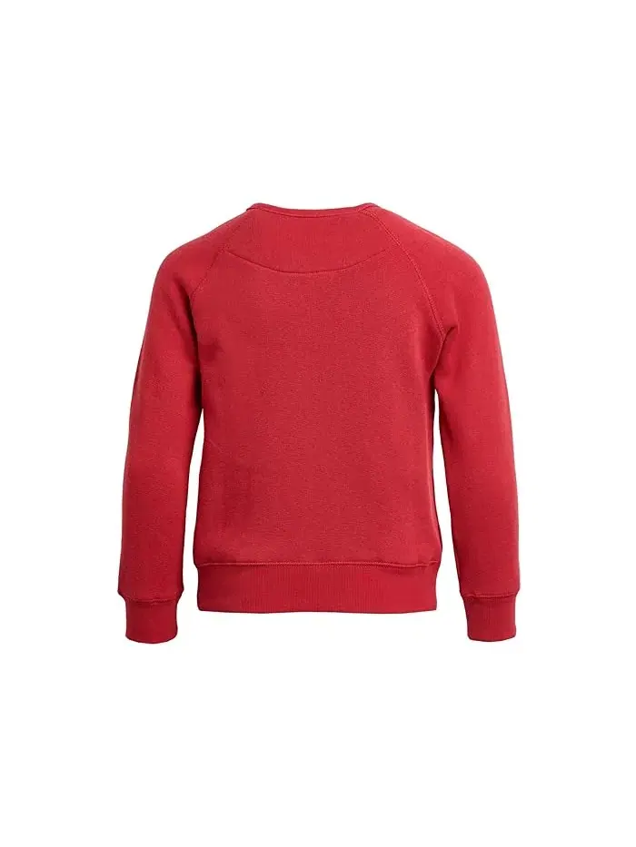 Толстовка с флисом San Francisco 49ers Hot Route Raglan Junk Food Clothing Kids — изображение 2 из 3, черный