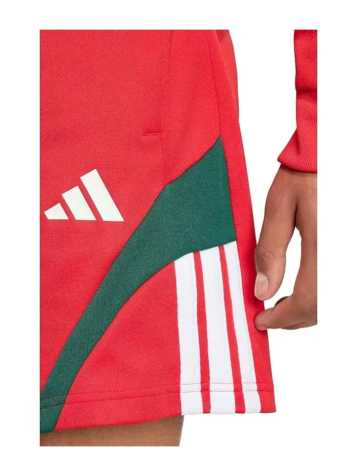 Шорты спортивные House Of Tiro Nations Pack Adidas — изображение 4 из 4, мульти