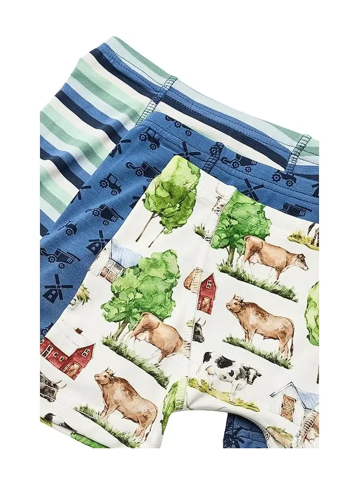 Боксеры набор из 3 Print Boxer Brief Set Kickee Pants Kids — изображение 3 из 3