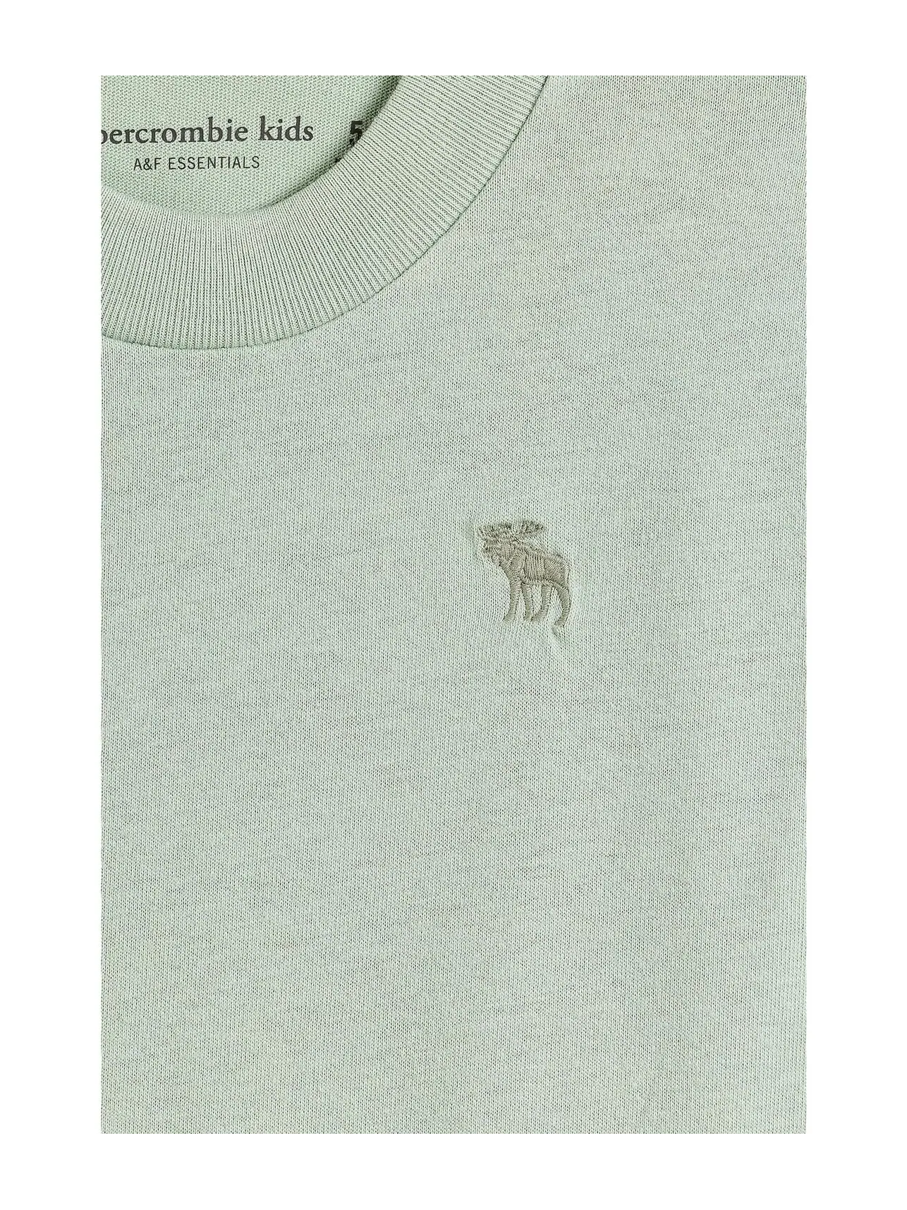Базовая футболка с коротким рукавом (для маленьких и больших детей) Abercrombie Kids — изображение 3 из 3, голубой серый