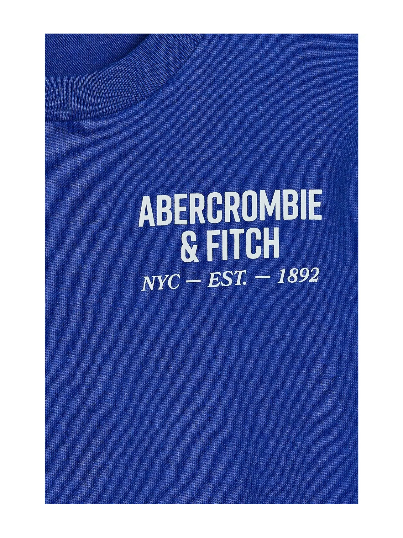 Футболка с логотипом NYC Est 1892 (для маленьких и больших детей) Abercrombie Kids — изображение 3 из 3, синий