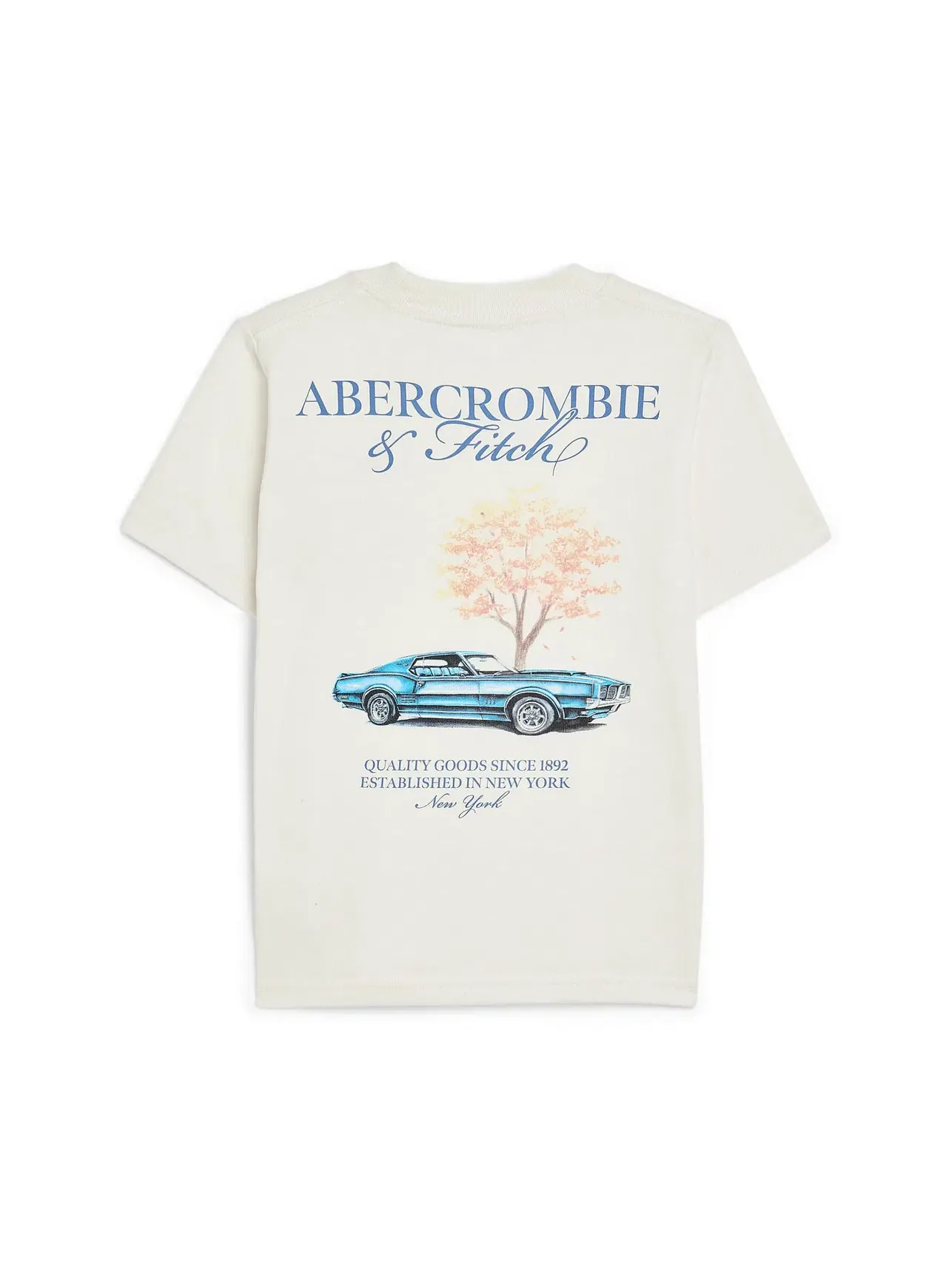 Футболка Auto Club (для маленьких и больших детей) Abercrombie Kids — изображение 2 из 3, жет