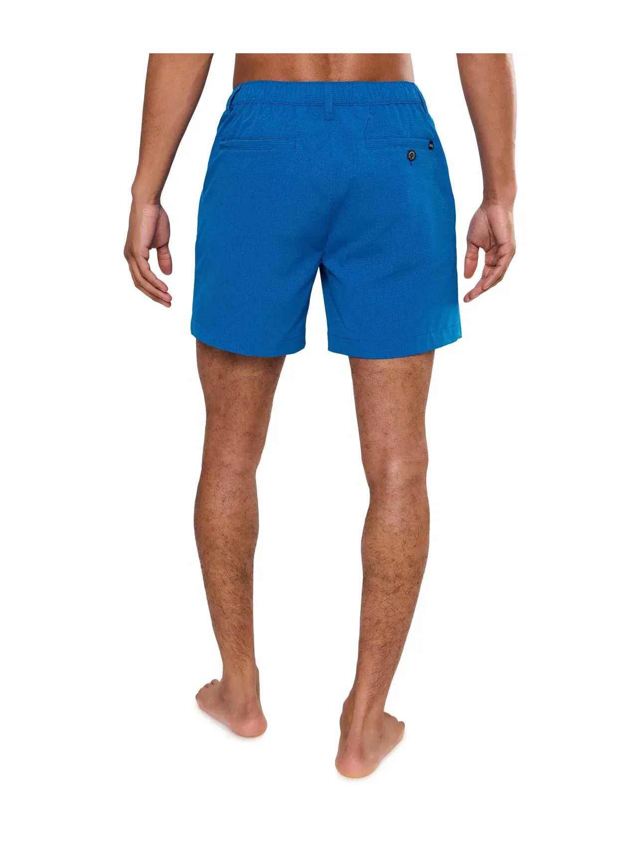 Шорты Chubbies The Blue Ribbons 6" - Breezetech Everyday Performance Shorts — изображение 4 из 5, синий