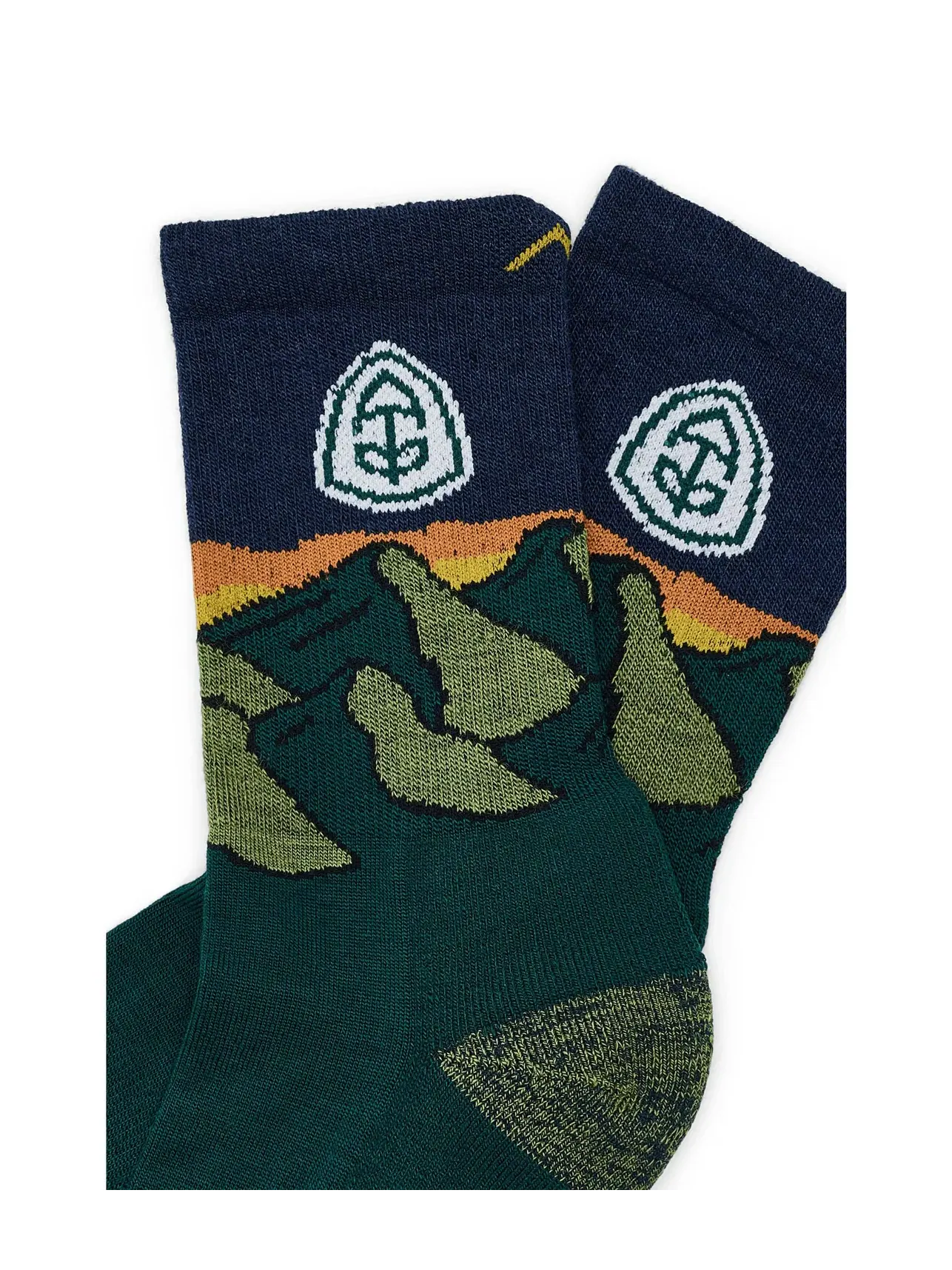 Носки ATC Micro Crew средней плотности с амортизацией ATC Micro Crew Midweight With Cushion Darn Tough Vermont, папоротник