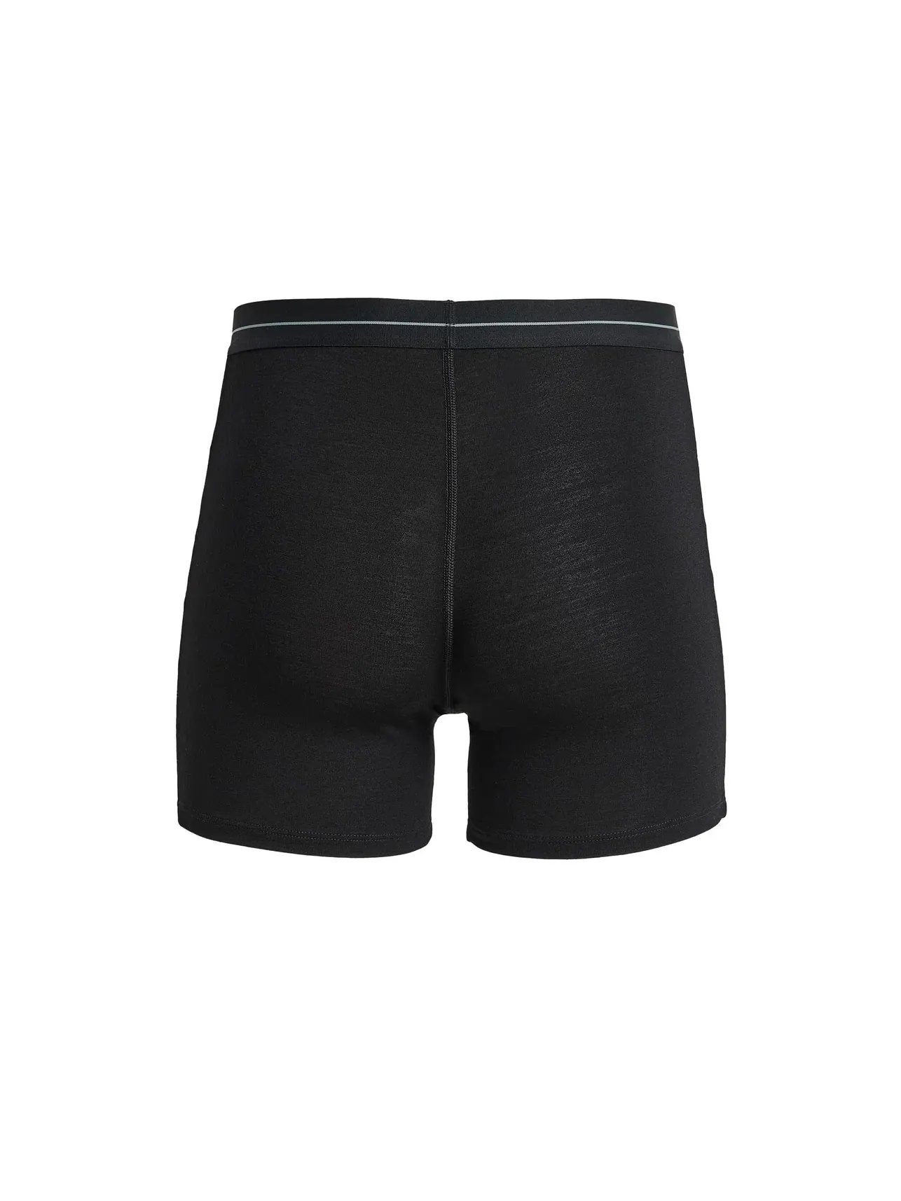 Боксеры Anatomica из шерсти мерино 150, 2 пары Merino 150 Anatomica Boxers 2 Pack Icebreaker — изображение 2 из 3, черный
