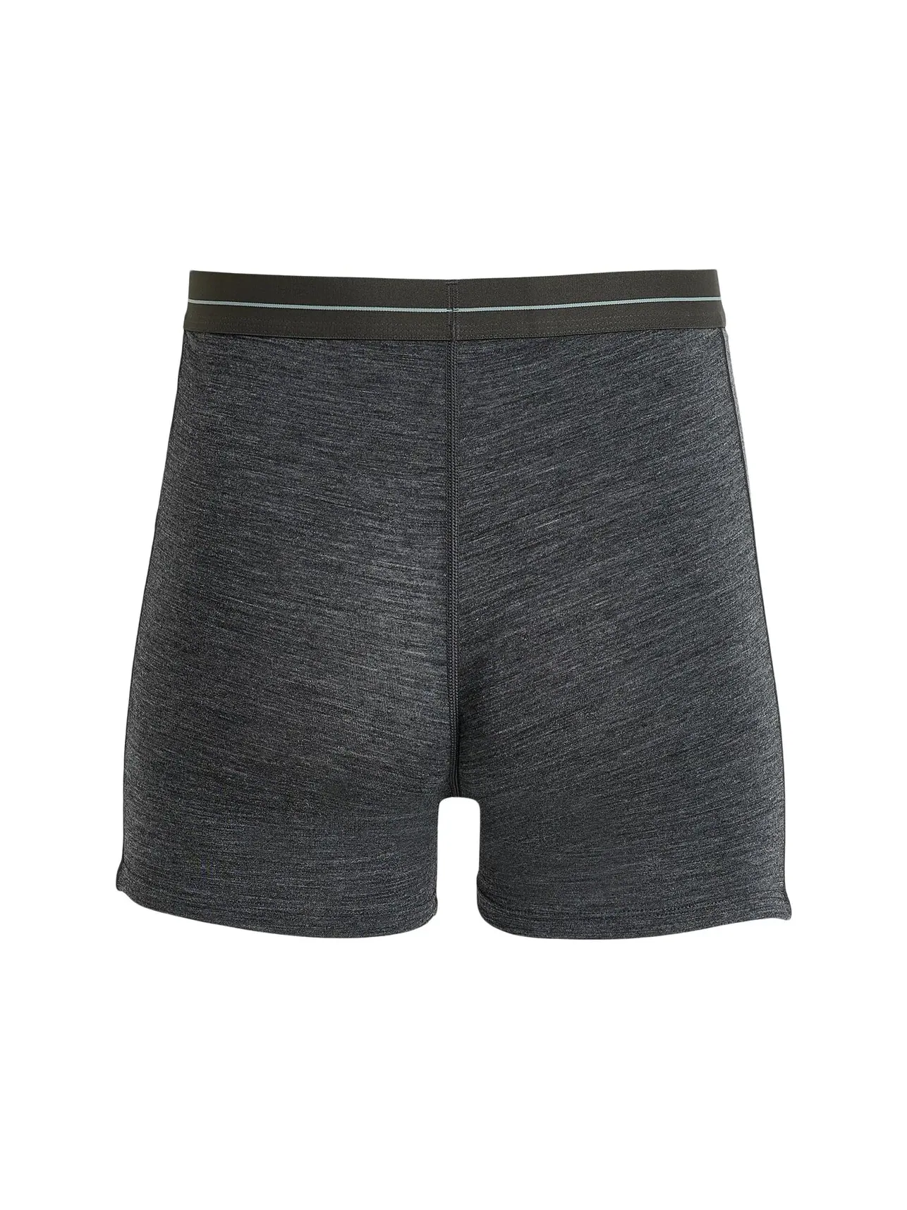 Боксеры Anatomica Boxer Icebreaker — изображение 2 из 3, серый меланж