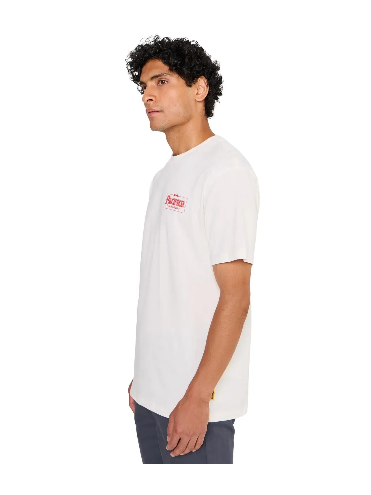Футболка Pacifico Sayulita Cruising Screen Tee Quiksilver — изображение 3 из 5, тофу