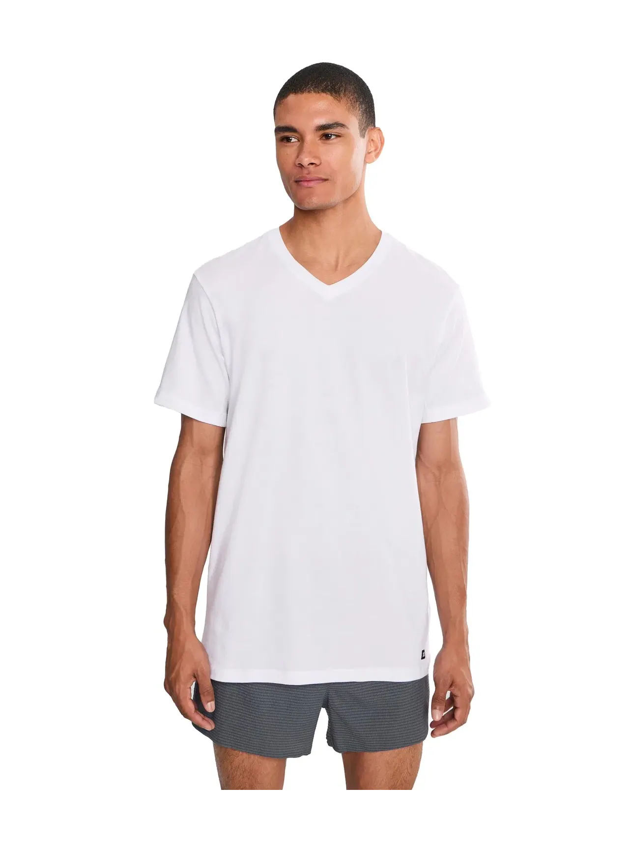 Футболка с V-образным вырезом из хлопка Droptemp Dry, 2 шт. Droptemp Dry Cotton V-Neck 2-Pack Saxx Underwear, белый