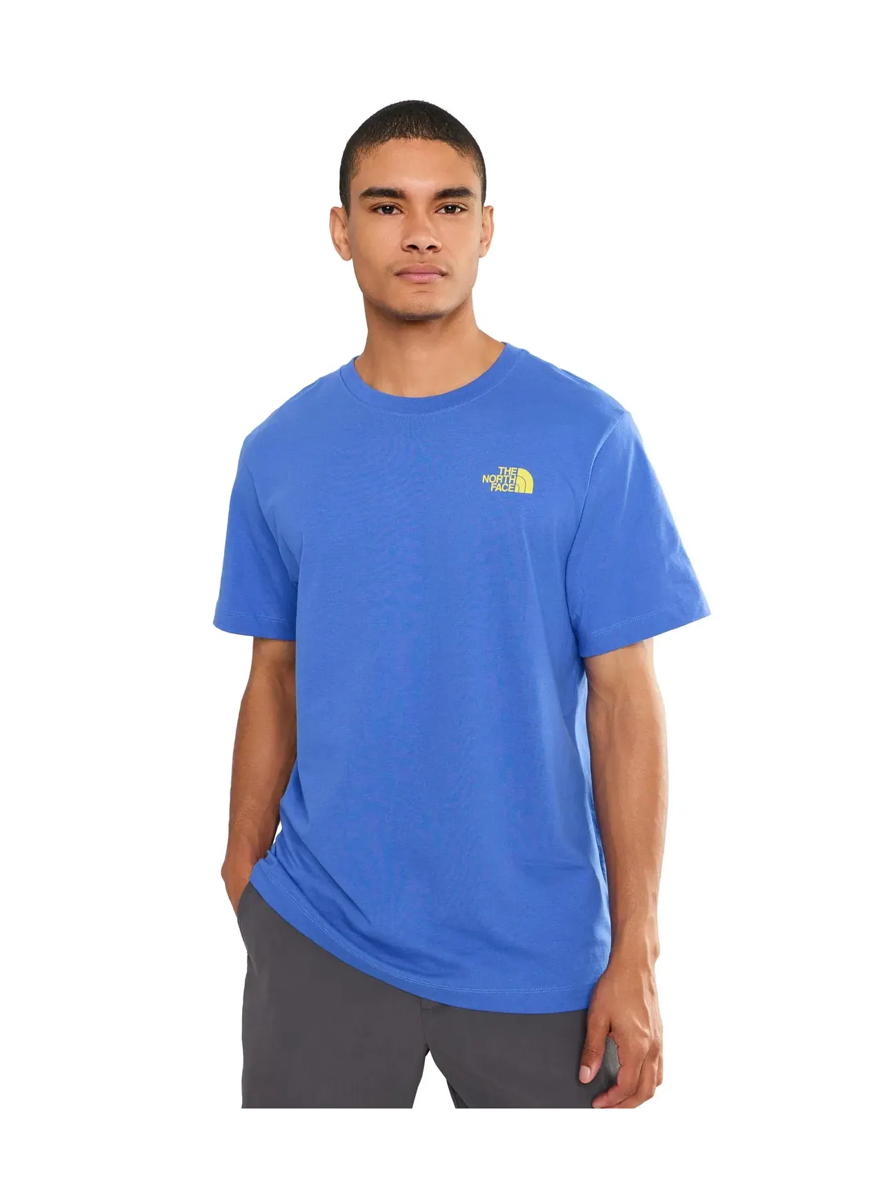 Футболка с коротким рукавом Evolution TNF NSE Regular The North Face — изображение 1 из 5, синий