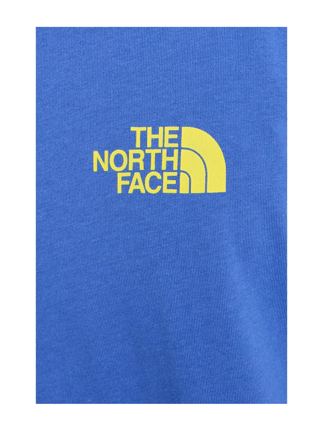Футболка с коротким рукавом Evolution TNF NSE Regular The North Face — изображение 5 из 5, синий