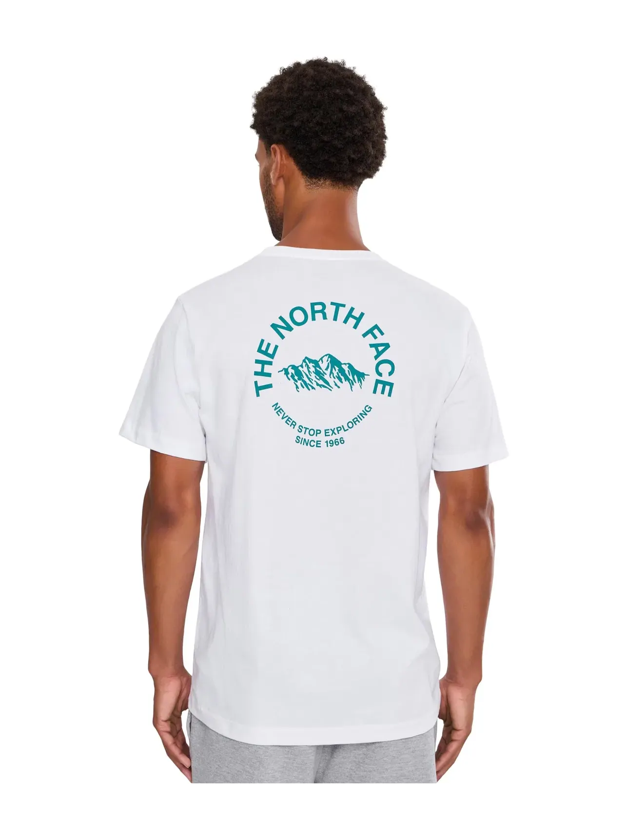 Футболка с коротким рукавом Evolution TNF NSE Regular The North Face — изображение 4 из 5, белый