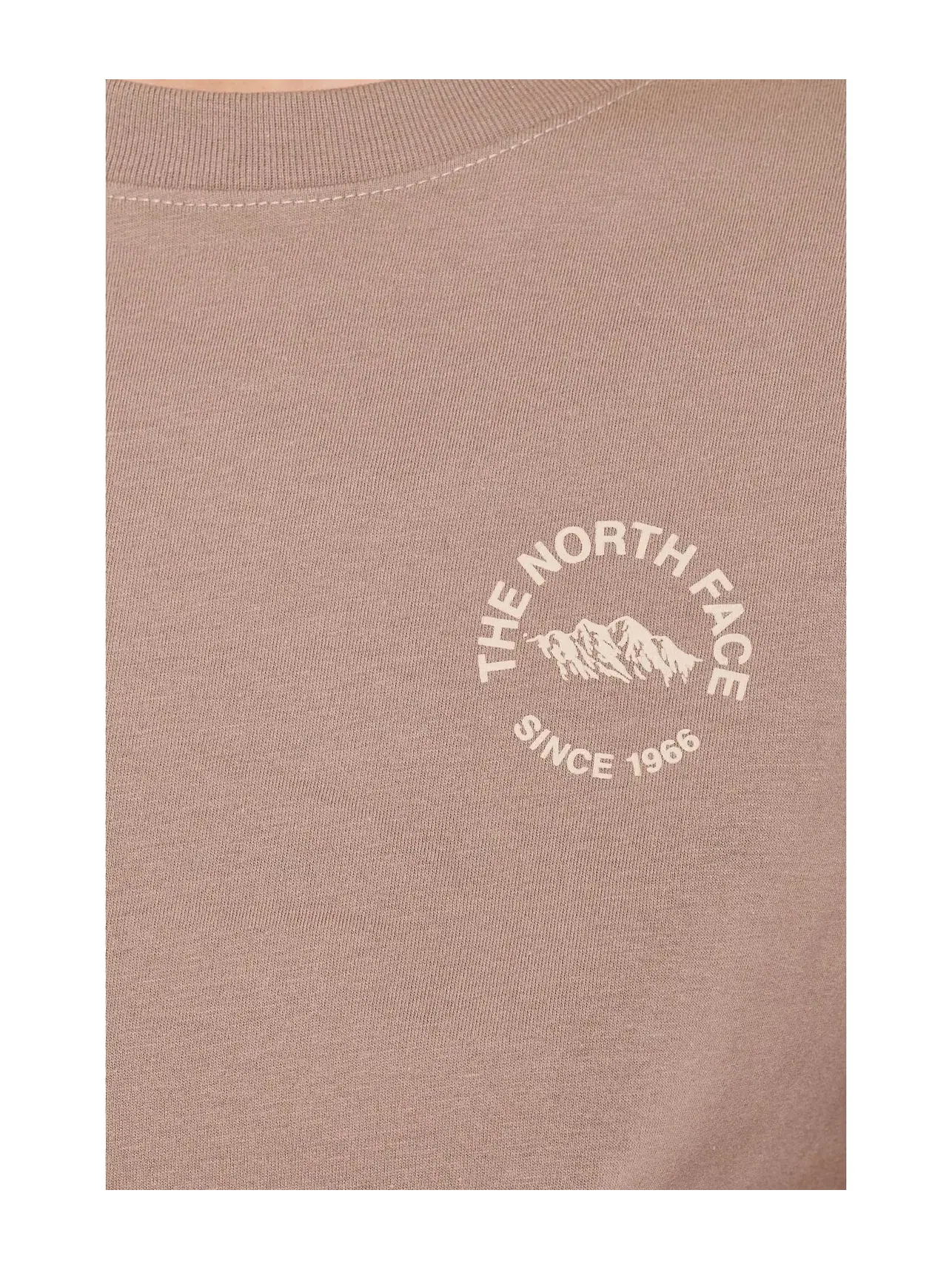 Футболка с коротким рукавом Evolution TNF NSE свободного кроя The North Face — изображение 5 из 5, гранат