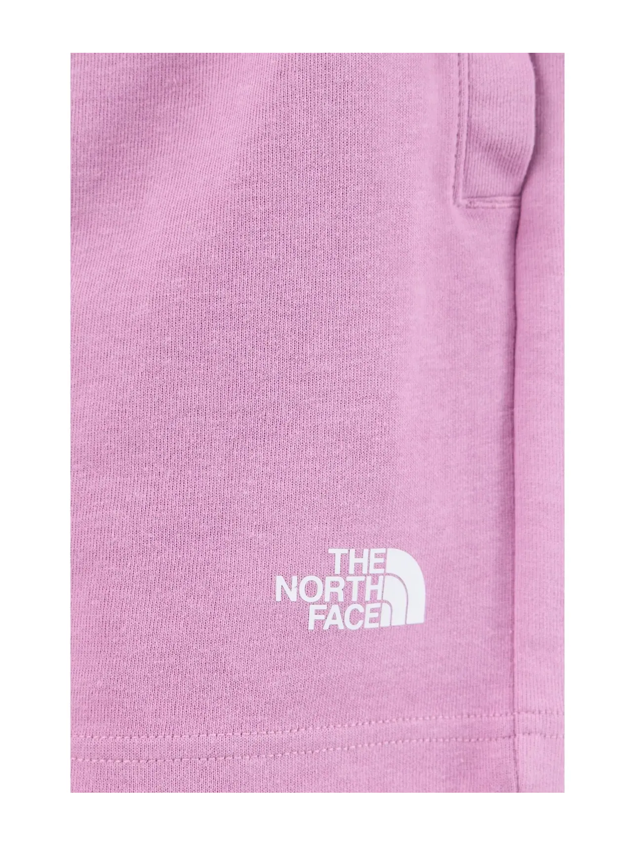 Шорты TNF двойной вязки The North Face — изображение 5 из 5, фиолетовый